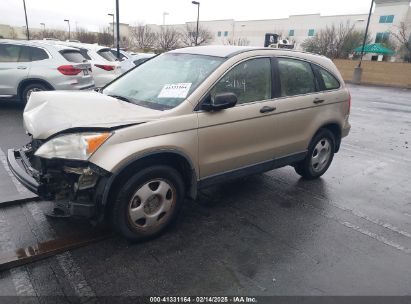 2007 HONDA CR-V LX Beige  Gasoline JHLRE38377C059048 photo #3