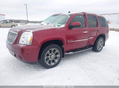 2011 GMC YUKON DENALI Burgundy  Flexible Fuel 1GKS2EEF2BR214696 photo #3