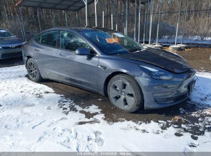 2023 TESLA MODEL 3 REAR-WHEEL DRIVE Gray  Electric 5YJ3E1EA4PF668742 photo #1