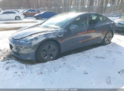 2023 TESLA MODEL 3 REAR-WHEEL DRIVE Gray  Electric 5YJ3E1EA4PF668742 photo #3