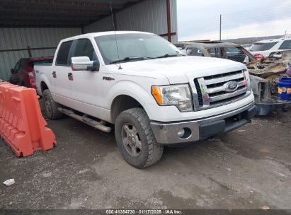 2012 FORD F-150 XLT White  Flexible Fuel 1FTFW1EF9CKD44351 photo #1