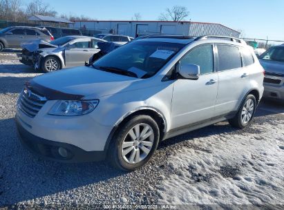 2008 SUBARU TRIBECA LIMITED 5-PASSENGER White  Gasoline 4S4WX92D684415639 photo #3