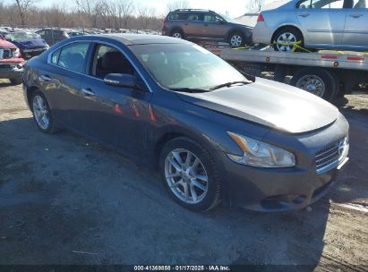 2009 NISSAN MAXIMA 3.5 SV Gray  Gasoline 1N4AA51E09C811890 photo #1