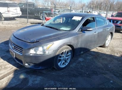 2009 NISSAN MAXIMA 3.5 SV Gray  Gasoline 1N4AA51E09C811890 photo #3