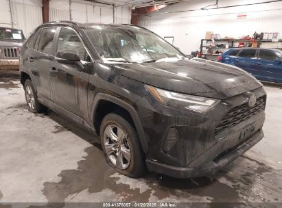 2023 TOYOTA RAV4 XLE Black  Gasoline 2T3P1RFV3PW369900 photo #1