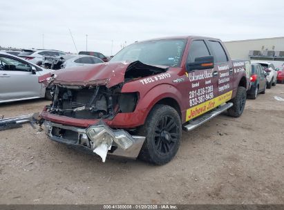 2014 FORD F-150 XLT Maroon  Gasoline 5XXGM4A78DG253593 photo #3