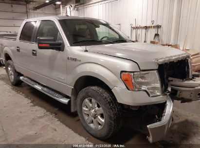 2013 FORD F-150 XLT Silver  Gasoline 1FTFW1ET8DKD04401 photo #1