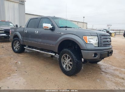 2010 FORD F-150 FX4/HARLEY-DAVIDSON/KING RANCH/LARIAT/PLATINUM/XL/XLT Gray  Flexible Fuel 1FTFW1EV6AFC72263 photo #1