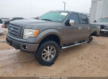 2010 FORD F-150 FX4/HARLEY-DAVIDSON/KING RANCH/LARIAT/PLATINUM/XL/XLT Gray  Flexible Fuel 1FTFW1EV6AFC72263 photo #3