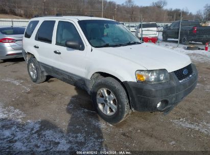 2007 FORD ESCAPE XLT/XLT SPORT White  Gasoline 1FMCU93177KB25212 photo #1