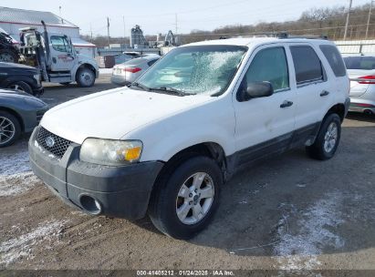 2007 FORD ESCAPE XLT/XLT SPORT White  Gasoline 1FMCU93177KB25212 photo #3