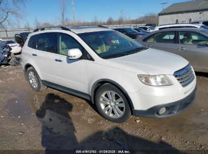 2008 SUBARU TRIBECA LIMITED 5-PASSENGER White  Gasoline 4S4WX93D884416290 photo #1