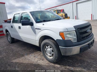 2013 FORD F-150 XL White  Flexible Fuel 1FTEW1CM9DFC58691 photo #1