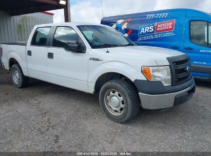 2013 FORD F-150 XL White  Flexible Fuel 1FTEW1CM0DFC58689 photo #1