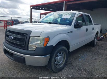 2013 FORD F-150 XL White  Flexible Fuel 1FTEW1CM0DFC58689 photo #3