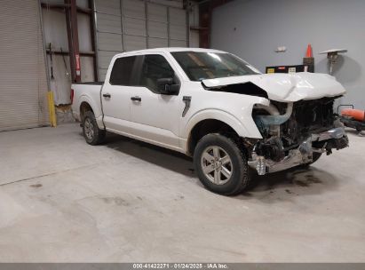 2021 FORD F-150 XLT White  Gasoline 1FTEW1C56MKD10147 photo #1