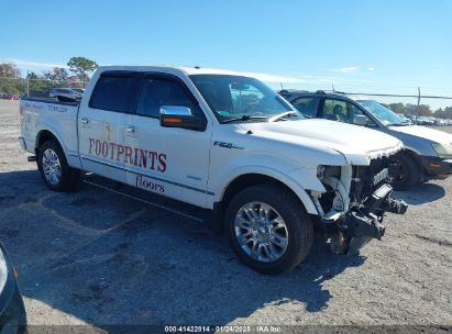 2014 FORD F-150 PLATINUM White  Gasoline 1FTFW1CT5EFA75902 photo #1