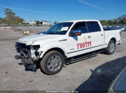 2014 FORD F-150 PLATINUM White  Gasoline 1FTFW1CT5EFA75902 photo #3