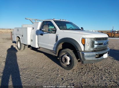 2017 FORD SUPER DUTY F-550 DRW XL White  Gasoline 1FDUF5GY1HEE37038 photo #1