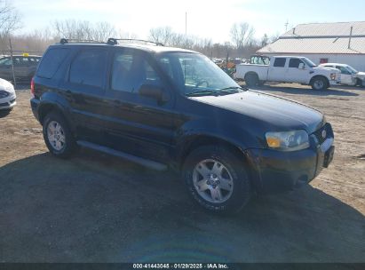 2007 FORD ESCAPE XLT/XLT SPORT Black  Gasoline 1FMYU03147KA52897 photo #1