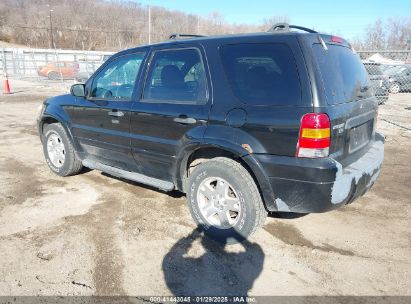 2007 FORD ESCAPE XLT/XLT SPORT Black  Gasoline 1FMYU03147KA52897 photo #4