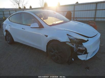 2024 TESLA MODEL Y LONG RANGE DUAL MOTOR ALL-WHEEL DRIVE White  Electric 7SAYGAEE6RF206658 photo #1