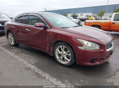 2013 NISSAN MAXIMA 3.5 SV Burgundy  Gasoline 1N4AA5AP1DC841149 photo #1