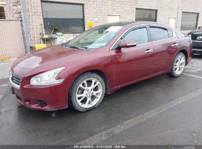 2013 NISSAN MAXIMA 3.5 SV Burgundy  Gasoline 1N4AA5AP1DC841149 photo #3