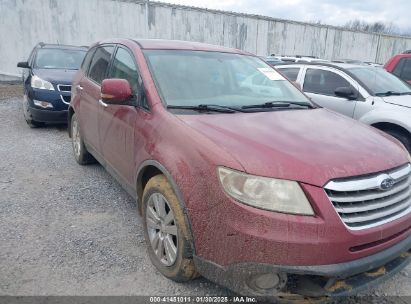 2009 SUBARU TRIBECA LIMITED 7-PASSENGER/SPECIAL EDITION 7-PASSENGER Maroon  Gasoline 4S4WX97D394403362 photo #1