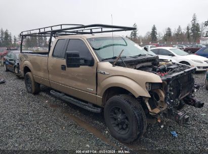 2013 FORD F-150 XLT Gold  Gasoline 1FTVX1ETXDKE13693 photo #1