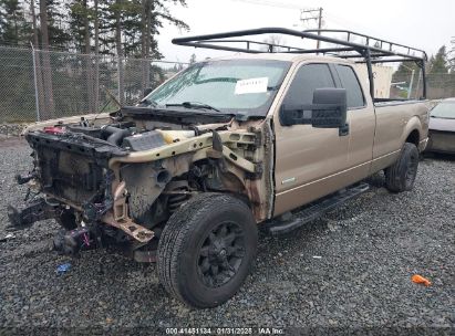 2013 FORD F-150 XLT Gold  Gasoline 1FTVX1ETXDKE13693 photo #3