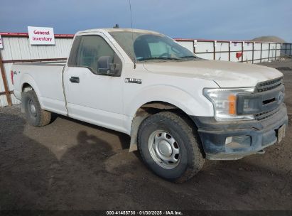 2020 FORD F-150 XL White  Gasoline 1FTNF1E46LKD35553 photo #1