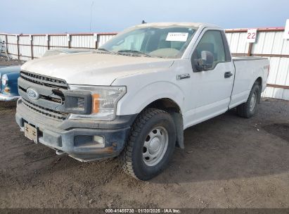 2020 FORD F-150 XL White  Gasoline 1FTNF1E46LKD35553 photo #3