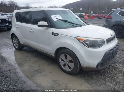 2015 KIA SOUL White  Gasoline KNDJN2A23F7234652 photo #1