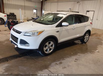 2014 FORD ESCAPE SE White  Gasoline 1FMCU9G91EUC84972 photo #3