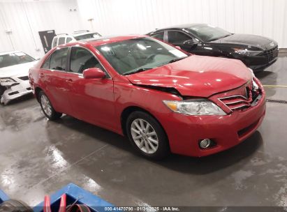 2011 TOYOTA CAMRY XLE Red  Gasoline 4T4BF3EK0BR130232 photo #1