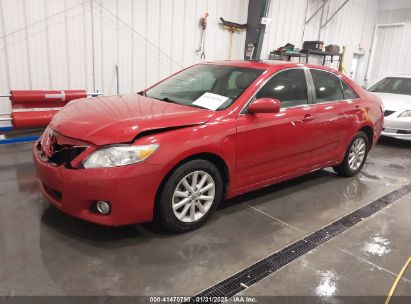 2011 TOYOTA CAMRY XLE Red  Gasoline 4T4BF3EK0BR130232 photo #3