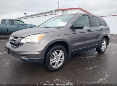 2011 HONDA CR-V EX Gray  Gasoline 5J6RE4H51BL052796 photo #3