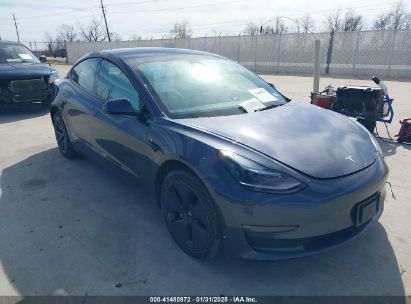 2023 TESLA MODEL 3 LONG RANGE DUAL MOTOR ALL-WHEEL DRIVE Gray  Electric 5YJ3E1EB6PF596466 photo #1