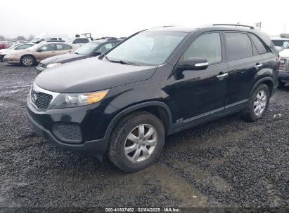 2013 KIA SORENTO LX V6 Black  Gasoline 5XYKTDA26DG369145 photo #3