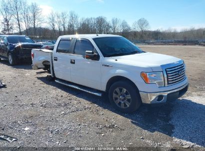 2011 FORD F-150 XLT White  Flexible Fuel 1FTFW1CF5BFD02513 photo #1