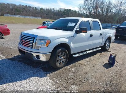 2011 FORD F-150 XLT White  Flexible Fuel 1FTFW1CF5BFD02513 photo #3