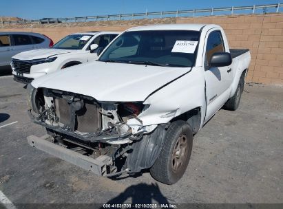 2008 TOYOTA TACOMA White  Gasoline 5TENX22N18Z537204 photo #3