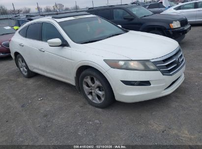 2010 HONDA ACCORD CROSSTOUR EX-L White  Gasoline 5J6TF1H52AL009987 photo #1