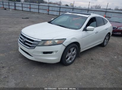 2010 HONDA ACCORD CROSSTOUR EX-L White  Gasoline 5J6TF1H52AL009987 photo #3