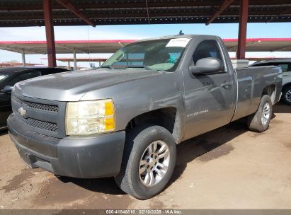 2008 CHEVROLET SILVERADO 1500 WORK TRUCK Silver  Gasoline 1GCEC14X78Z272868 photo #3