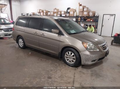 2010 HONDA ODYSSEY EX Tan  Gasoline 5FNRL3H56AB089088 photo #1