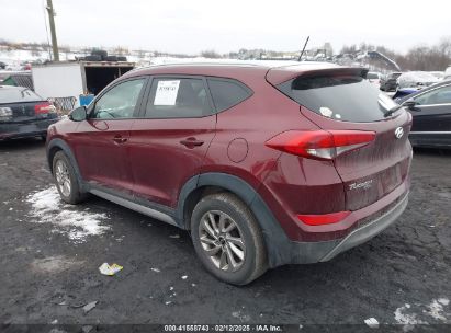 2017 HYUNDAI TUCSON ECO Red  Gasoline KM8J3CA2XHU344657 photo #4