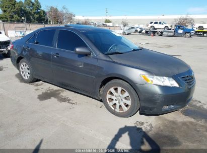 2009 TOYOTA CAMRY XLE Gray  Gasoline 4T1BE46K89U395041 photo #1