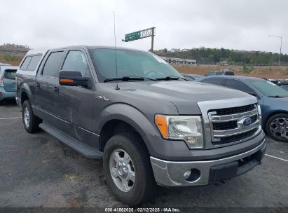 2013 FORD F-150 XLT Gray  Flexible Fuel 1FTFW1EF1DFA48136 photo #1